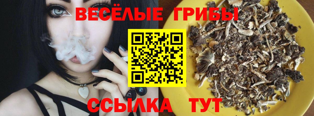 Псилоцибиновые грибы мухоморы  Вход с VPN  Ярцево 